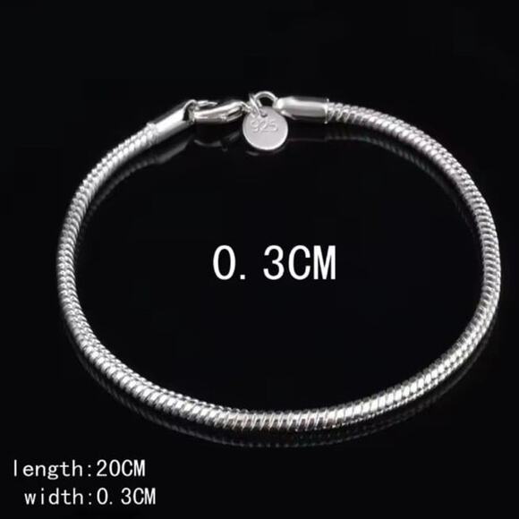 Unbranded | Jewelry | 925 Silver Bracelet Fish Snake Scale  925 Silver Bracelet Fish Snake Scale Chain 3mm Men Women Style Fashion Gift NEW
